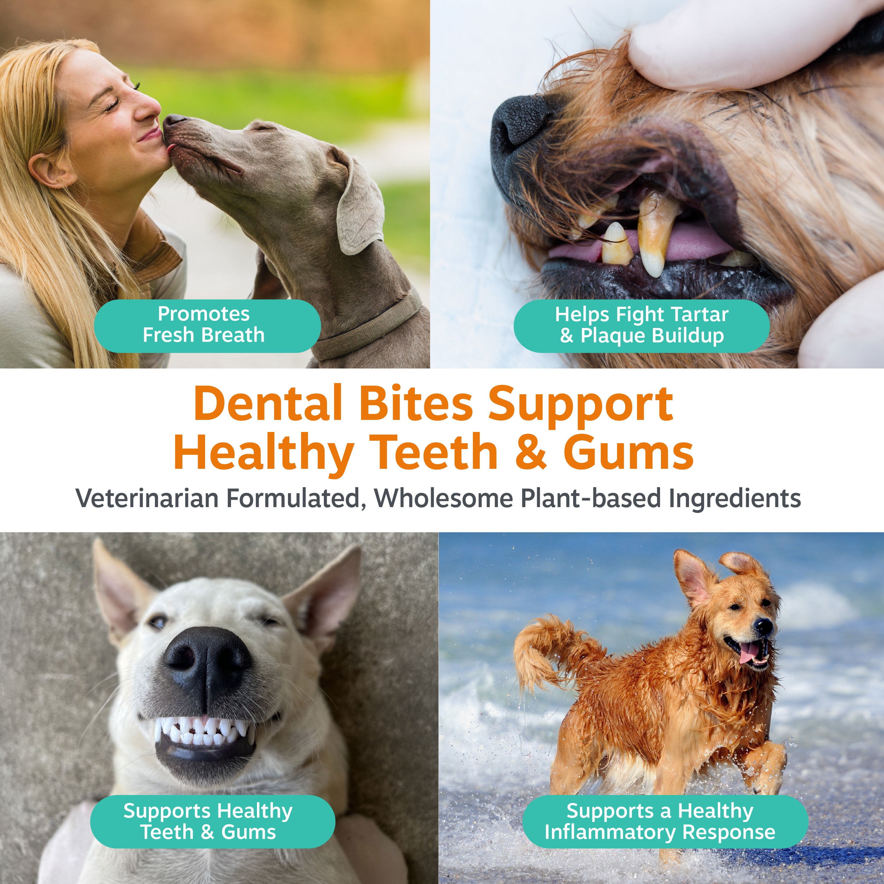 Clean Breath Bites for Dogs