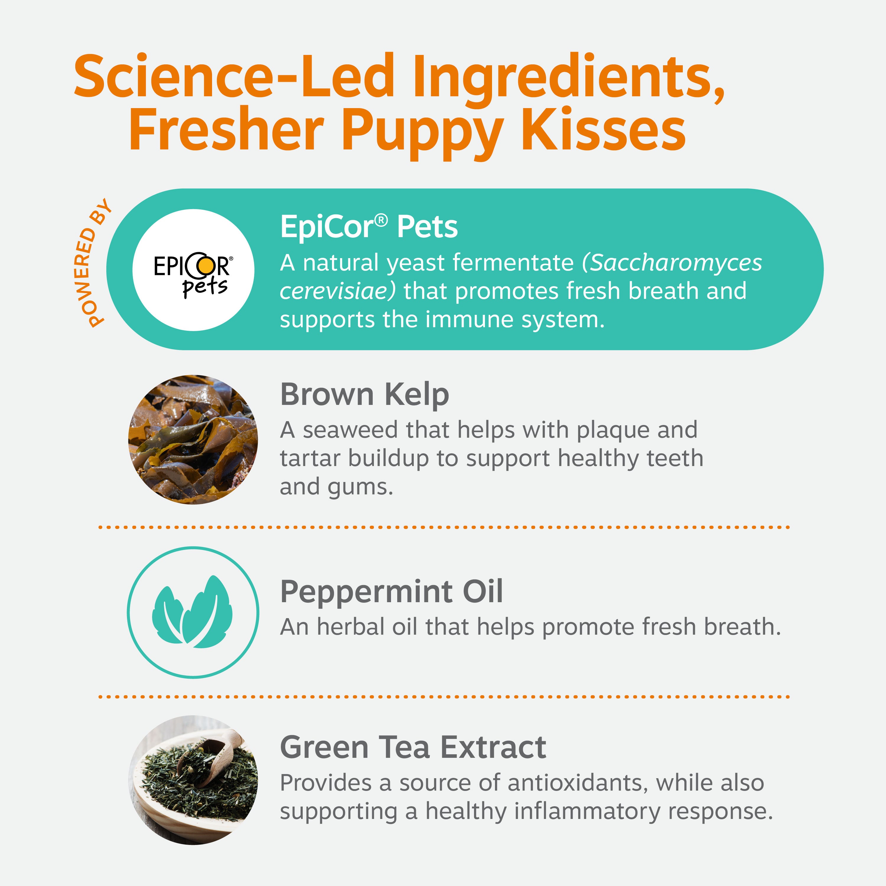 Clean Breath Bites for Dogs