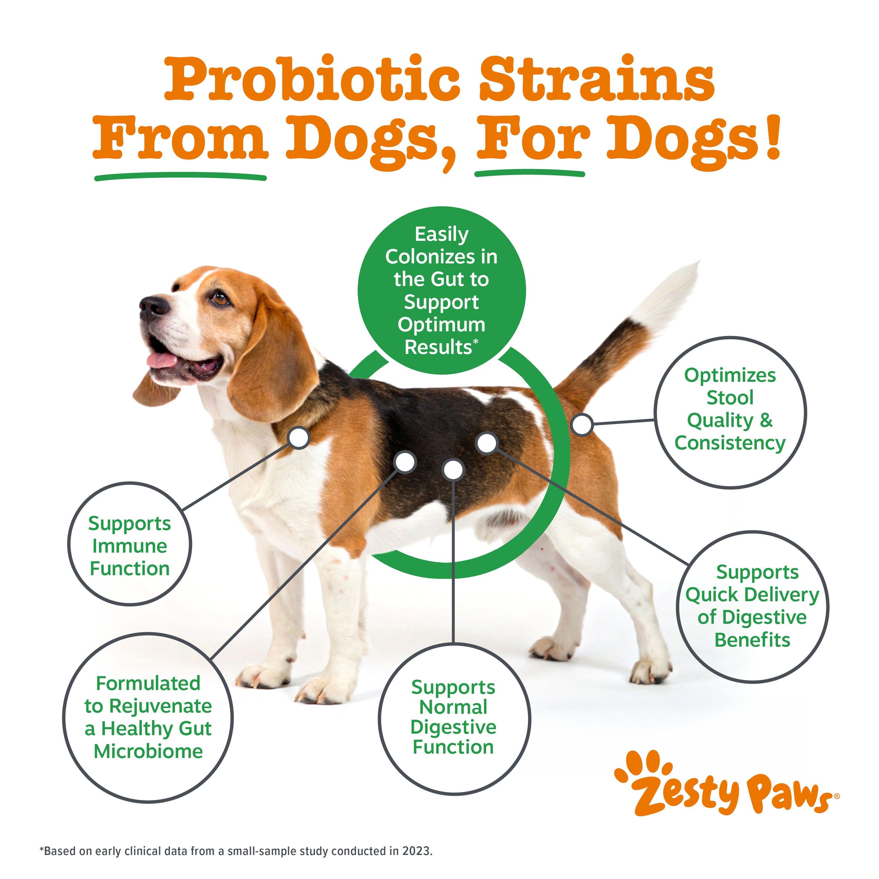 Vet Strength Native Canine Probiotic Powder for Dogs