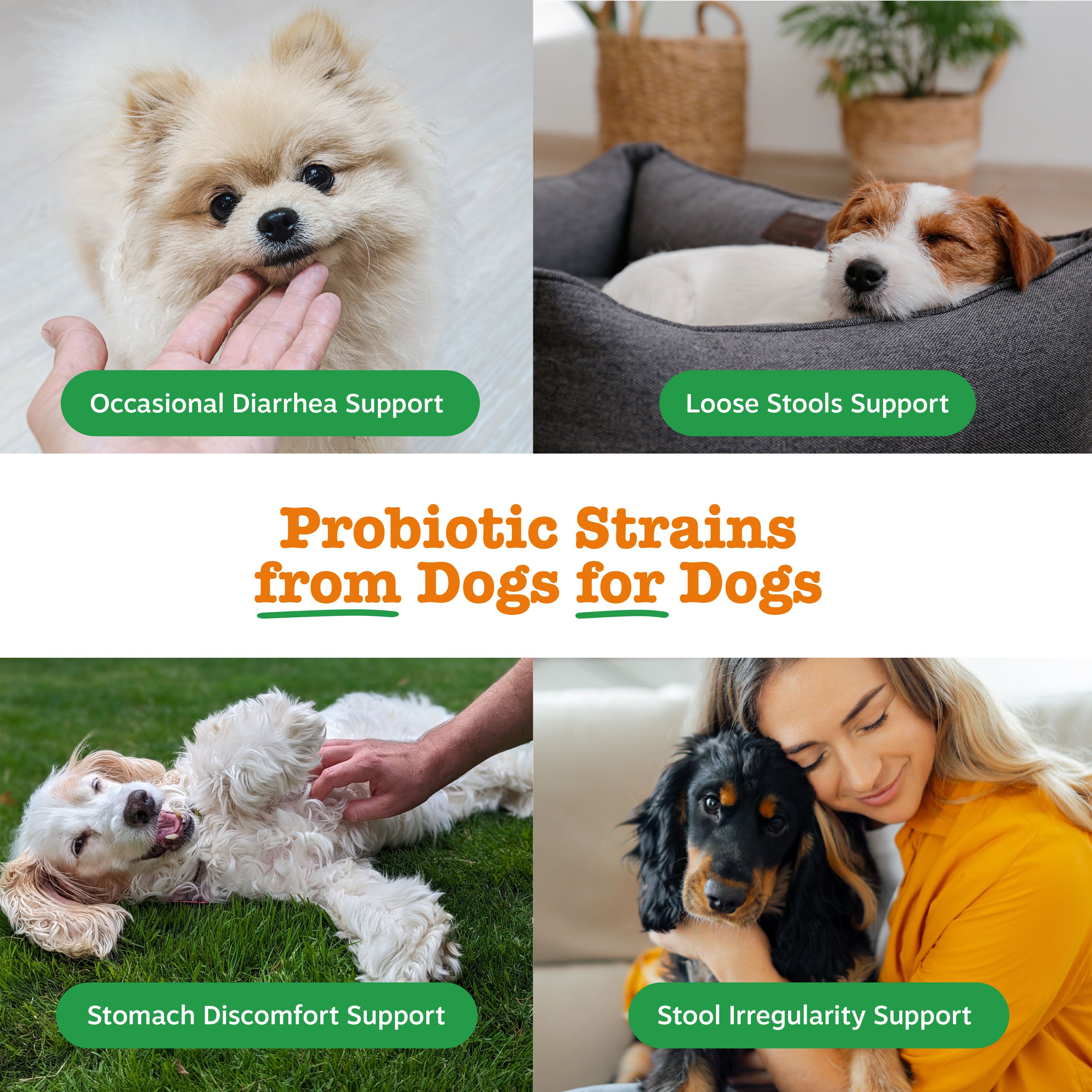 Vet Strength Native Canine Probiotic Powder