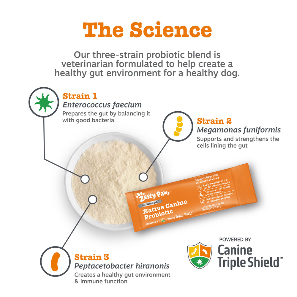 Vet Strength Native Canine Probiotic Powder for Dogs
