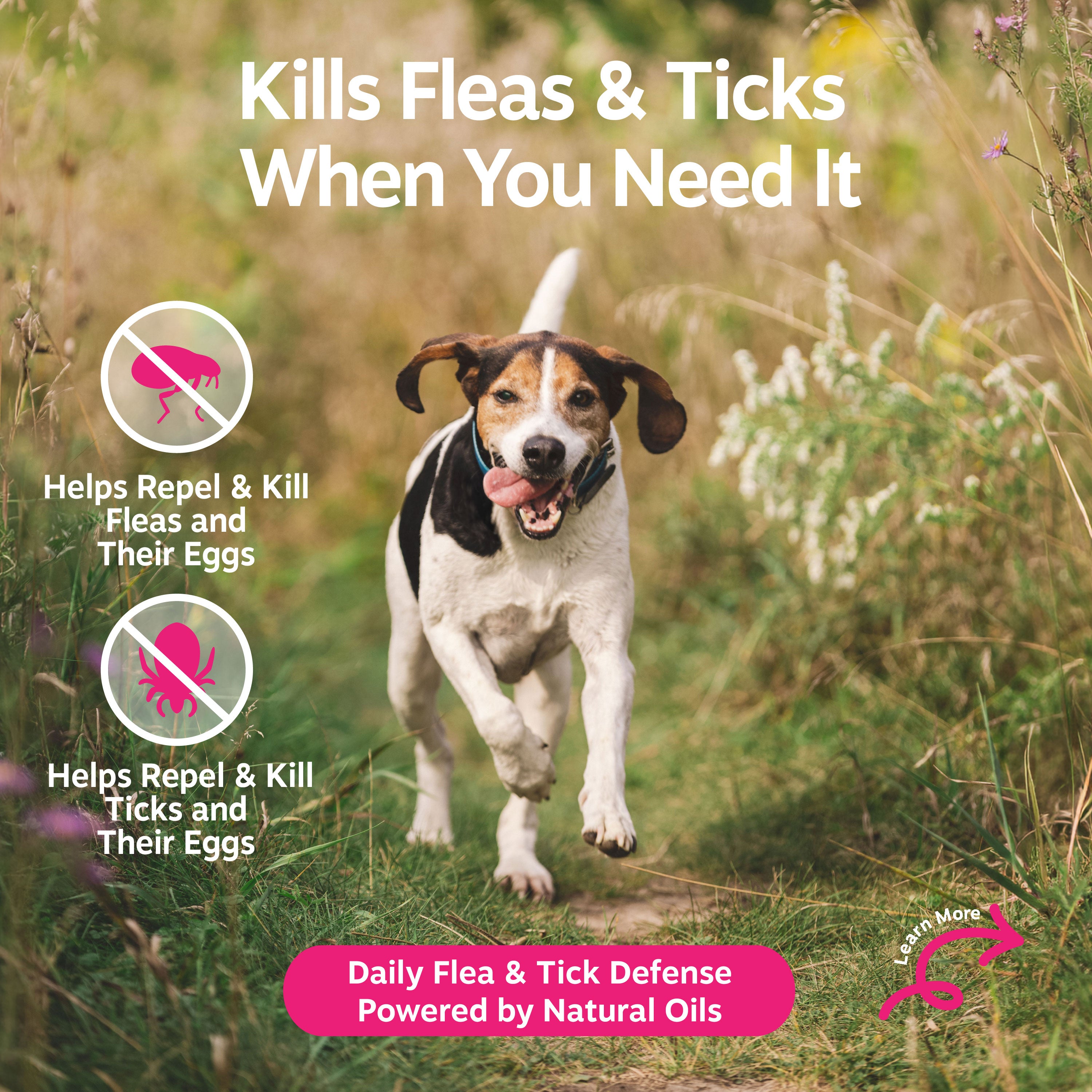 Flea & Tick Spray for Dogs