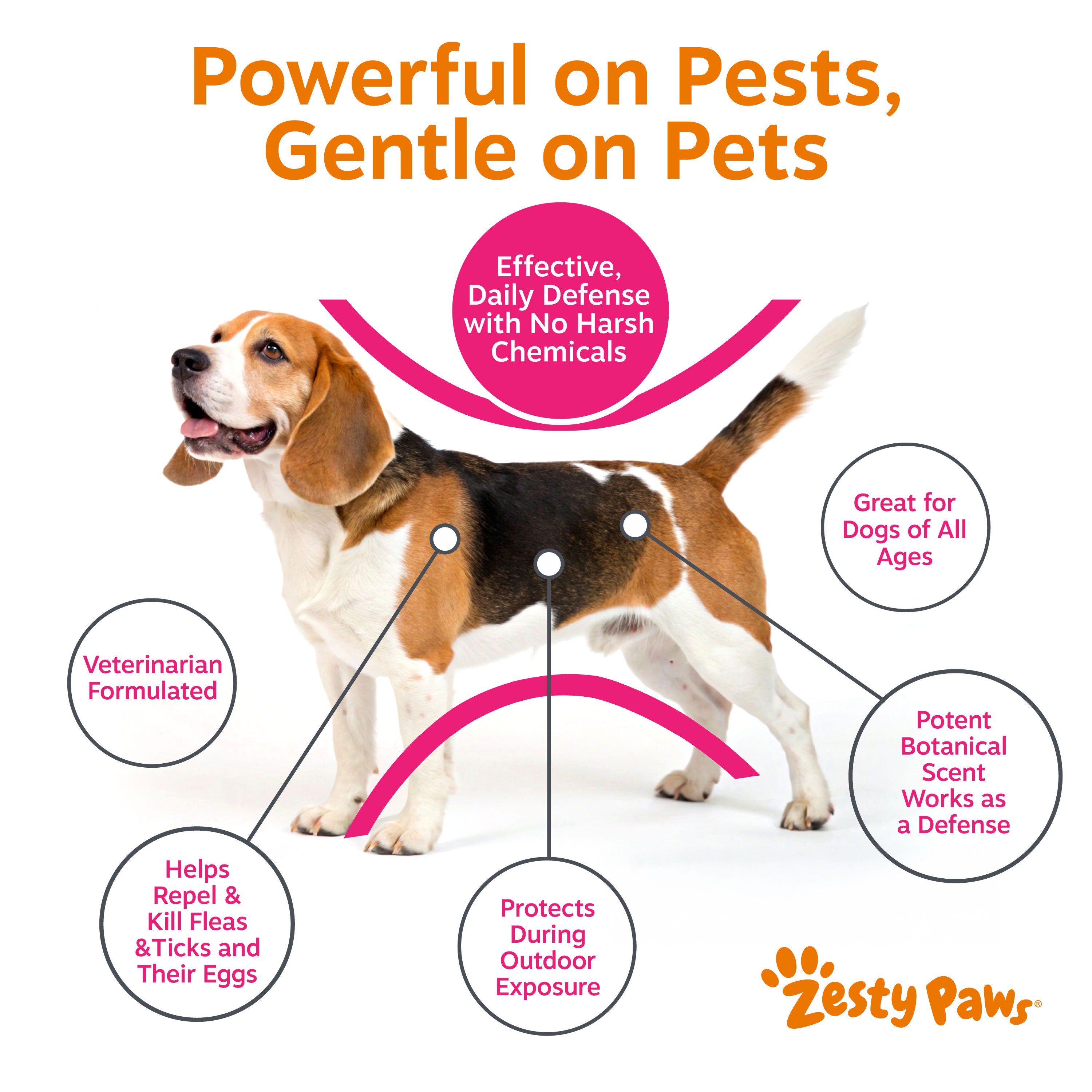 Flea & Tick Spray for Dogs