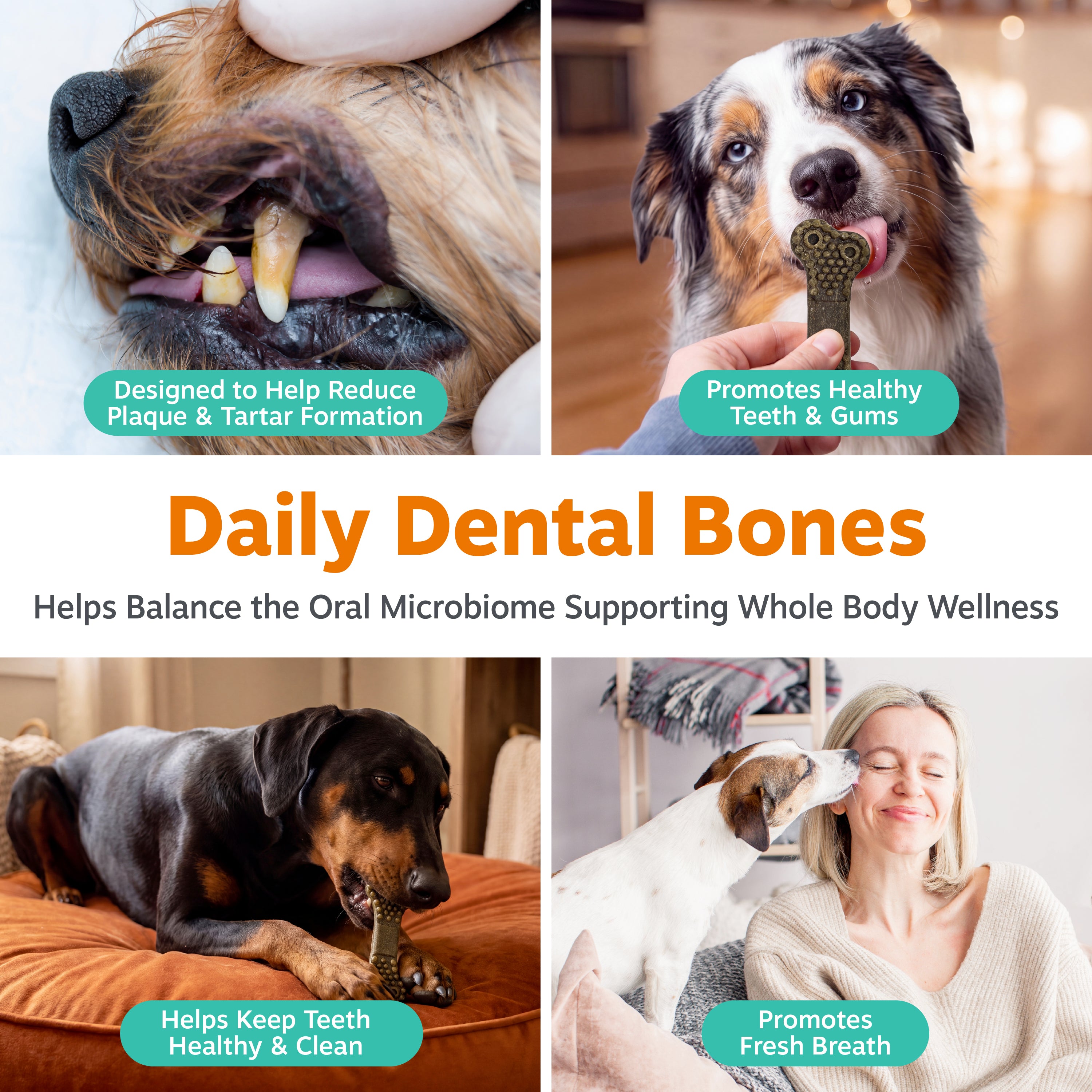 Dental Bones 2.0 for Medium Sized Dogs