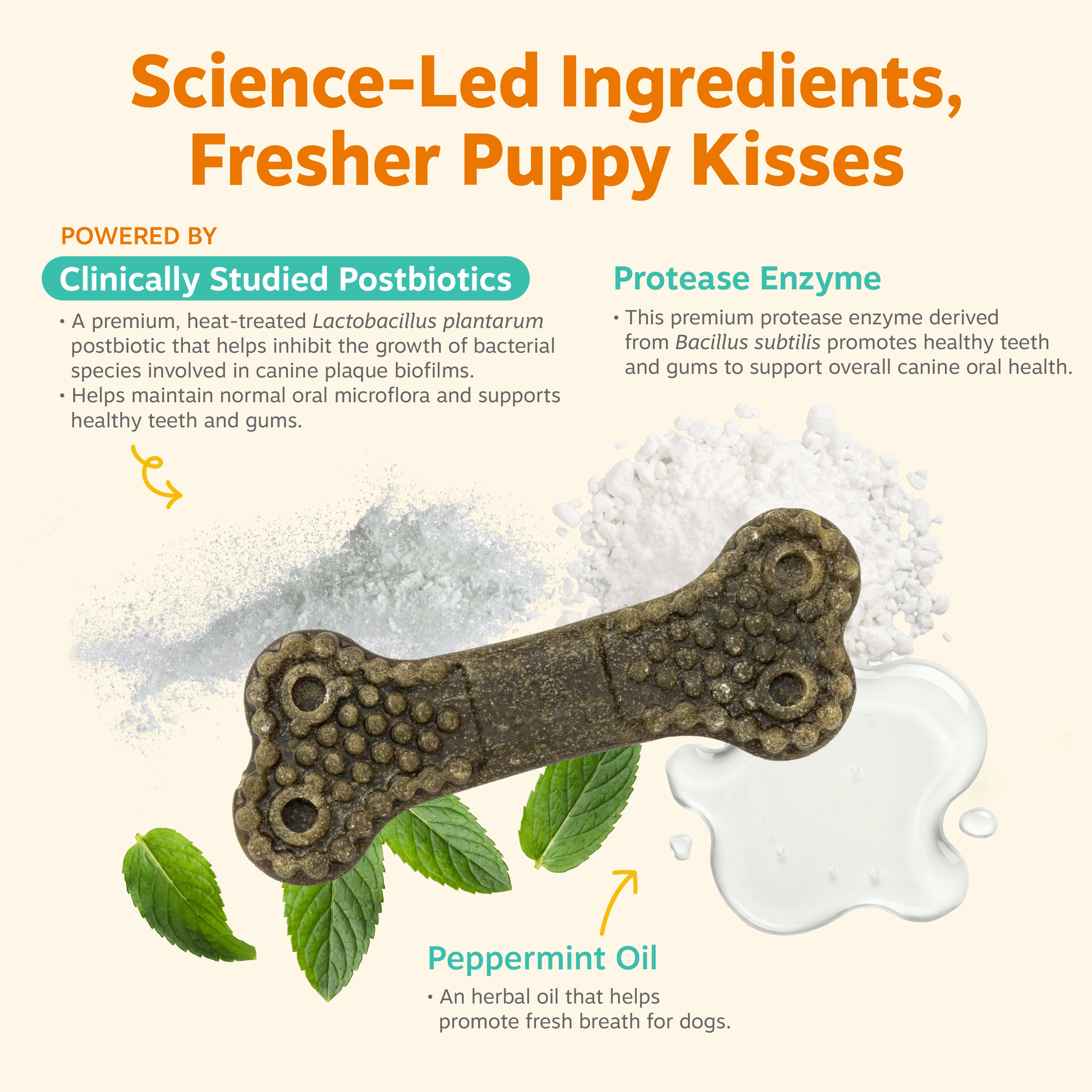 Dental Bones 2.0 for Medium Sized Dogs