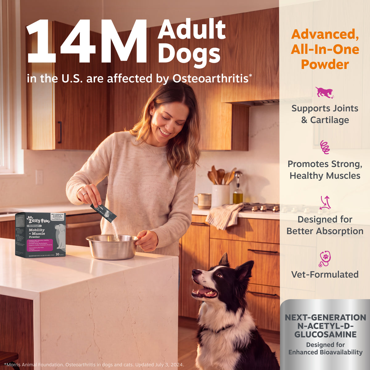 Vet Strength Mobility + Muscle Powder for Dogs