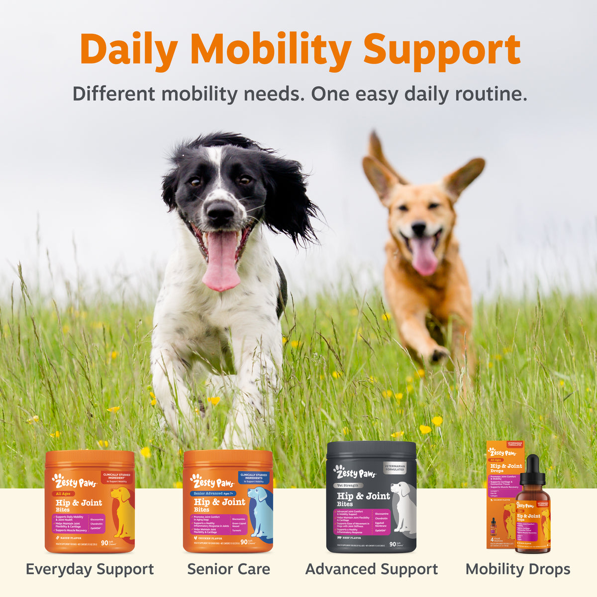 Vet Strength Mobility + Muscle Powder for Dogs