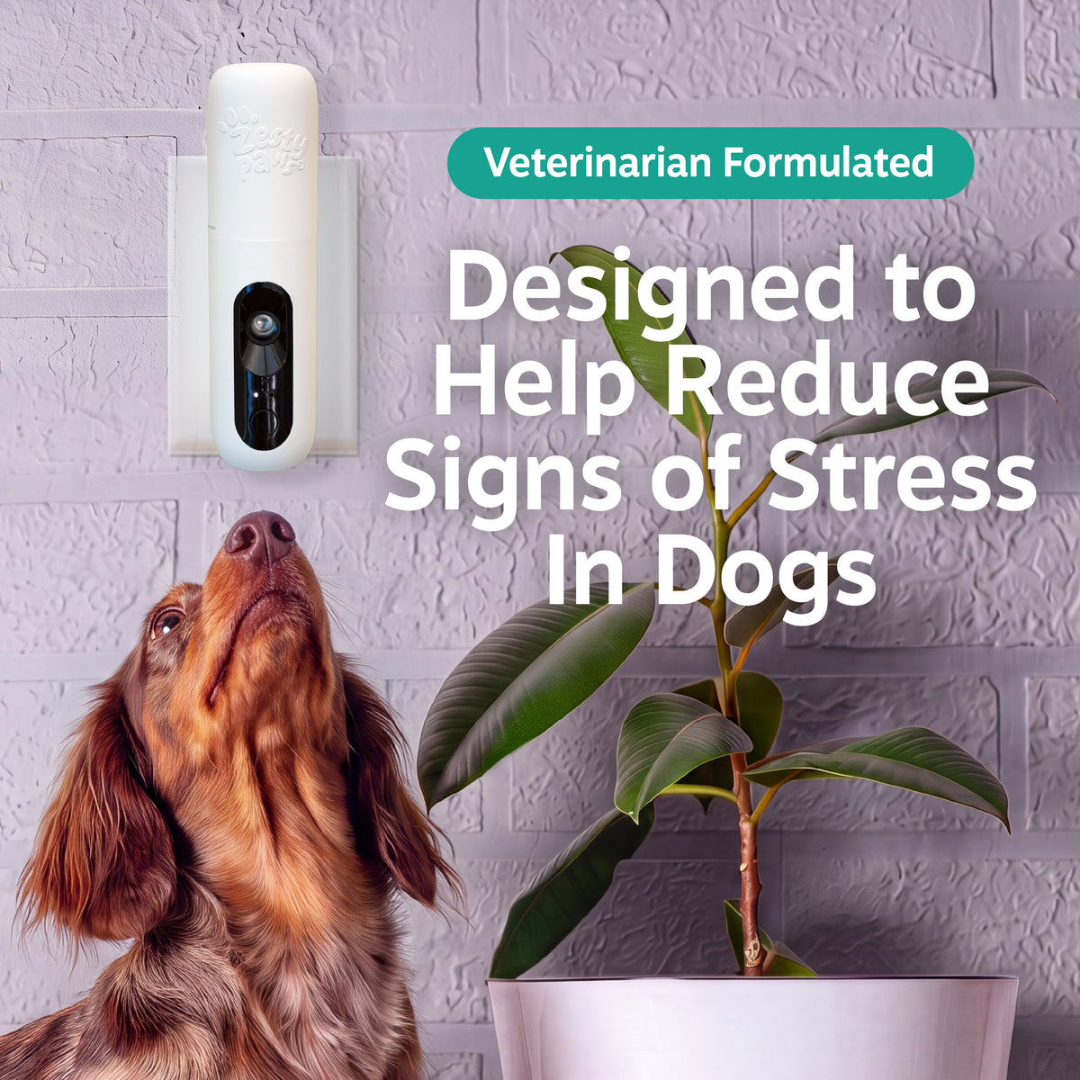 Calming Diffuser Starter Kit for Dogs