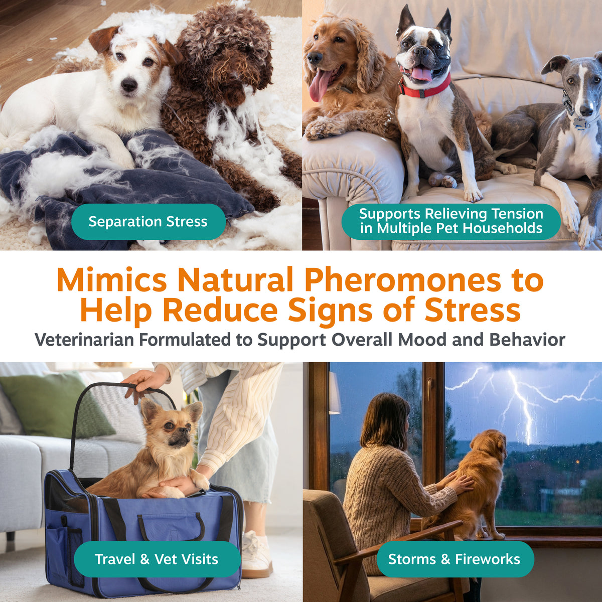 Calming Diffuser Starter Kit for Dogs