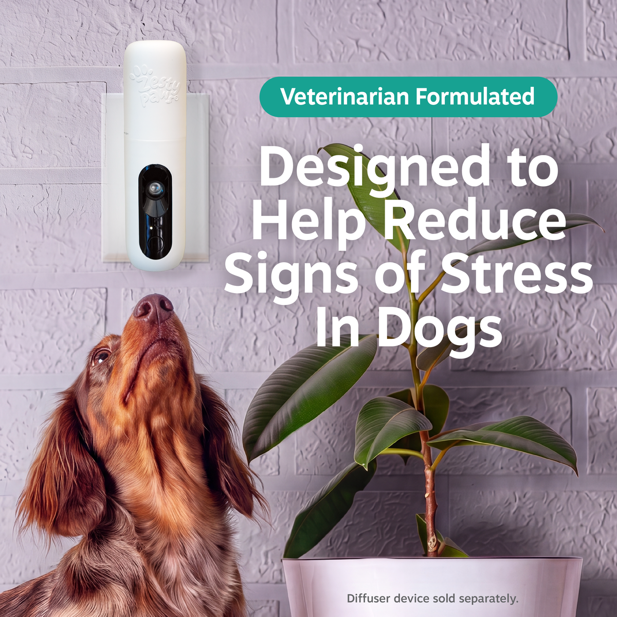 Calming Diffuser Refill for Dogs