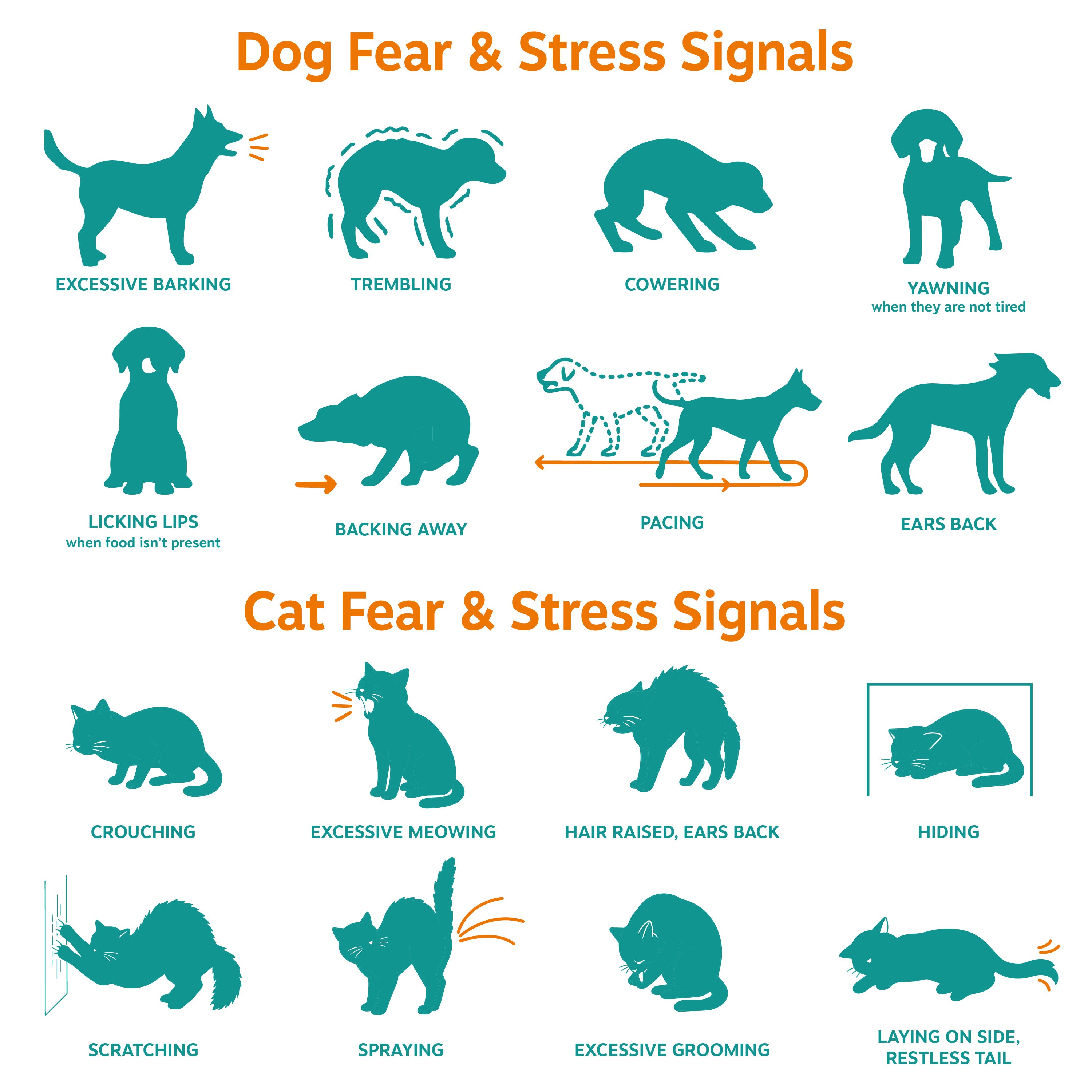 Calming Drops for Dogs & Cats