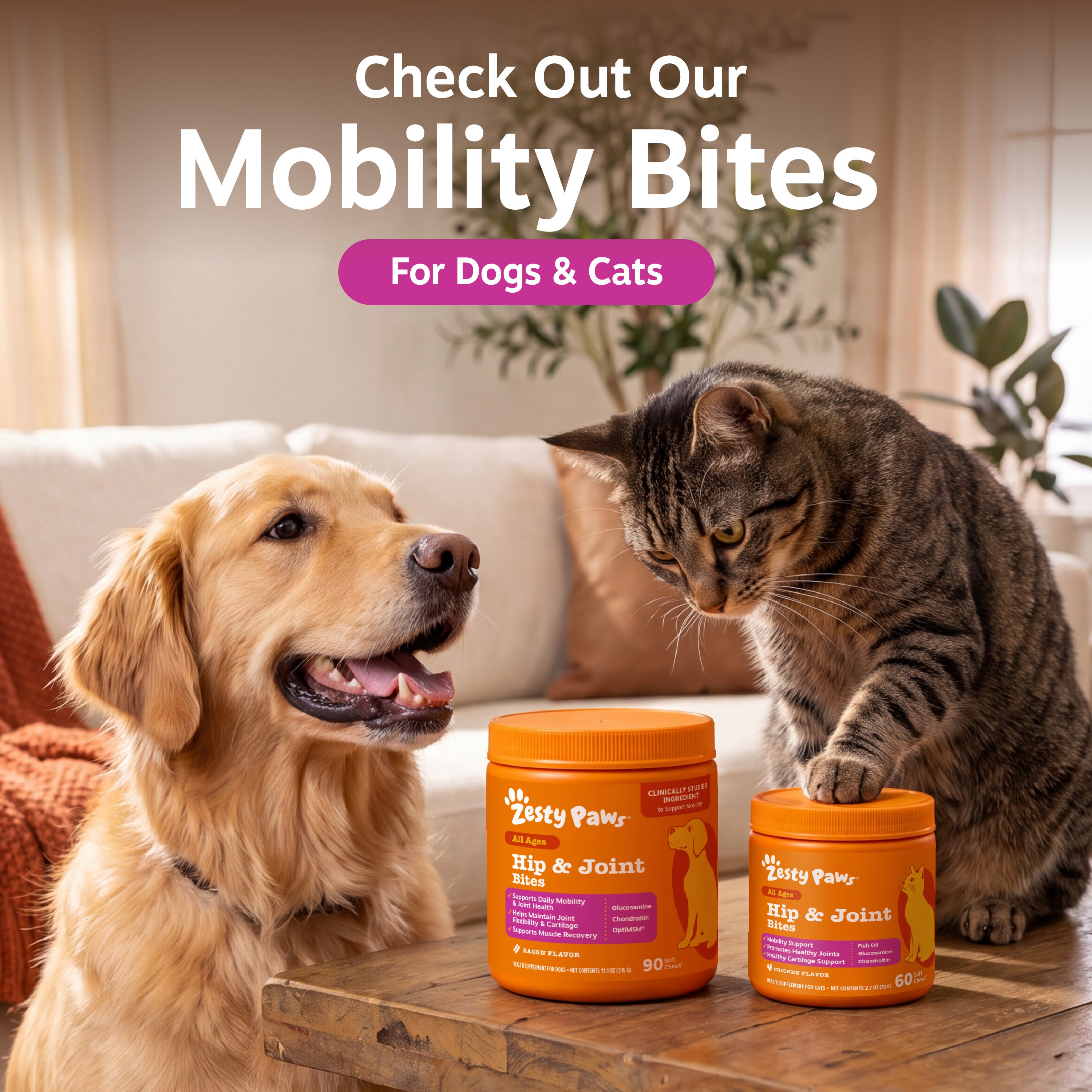 Hip & Joint Drops for Dogs