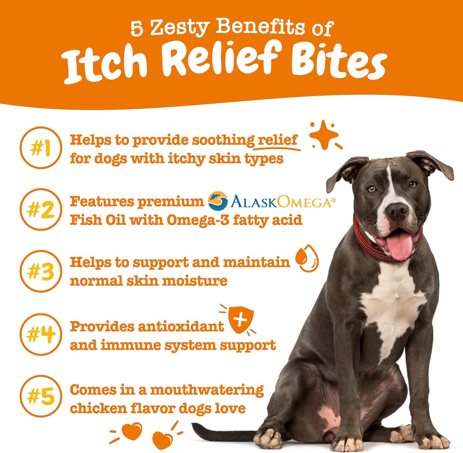 Itch Relief Bites for Dogs