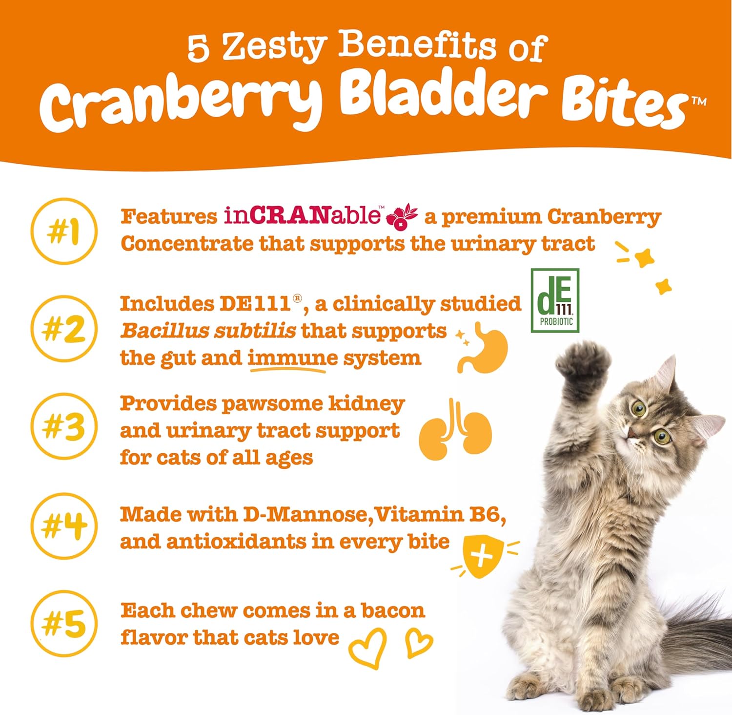 Cat Cranberry Bladder Bites Bacon 60ct