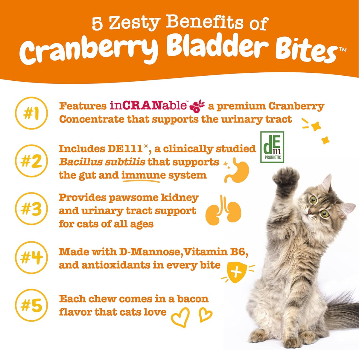 Snapshot of Cranberry To Stop Cat Urine Burning
