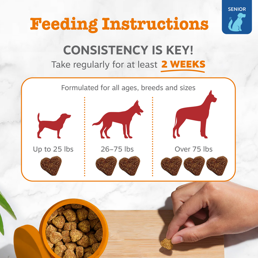Senior Advanced Vision Bites™ for Senior Dogs