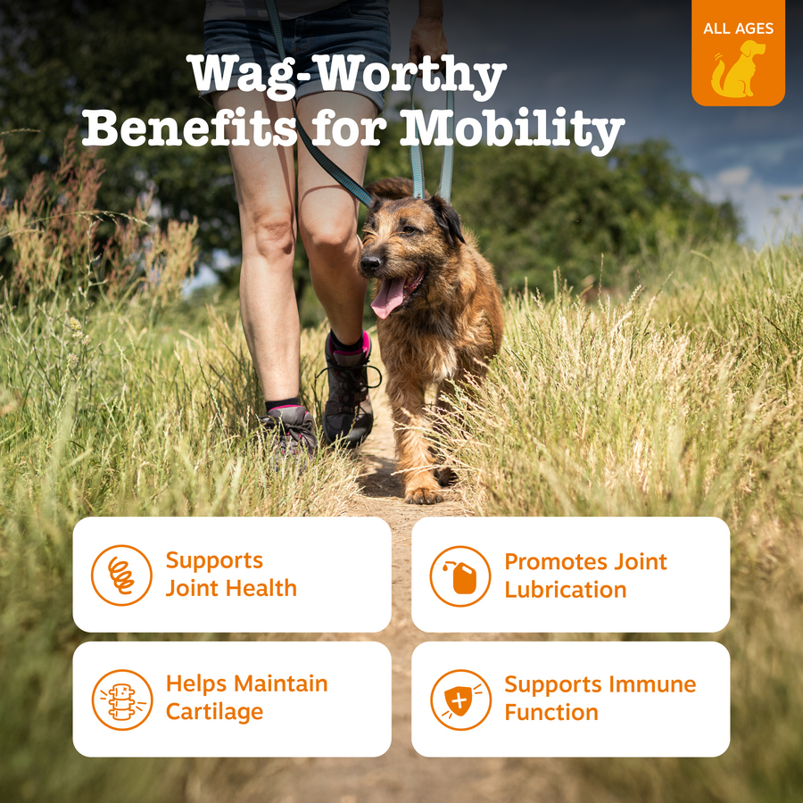Hemp Elements™ Mobility Bites™ for Dogs