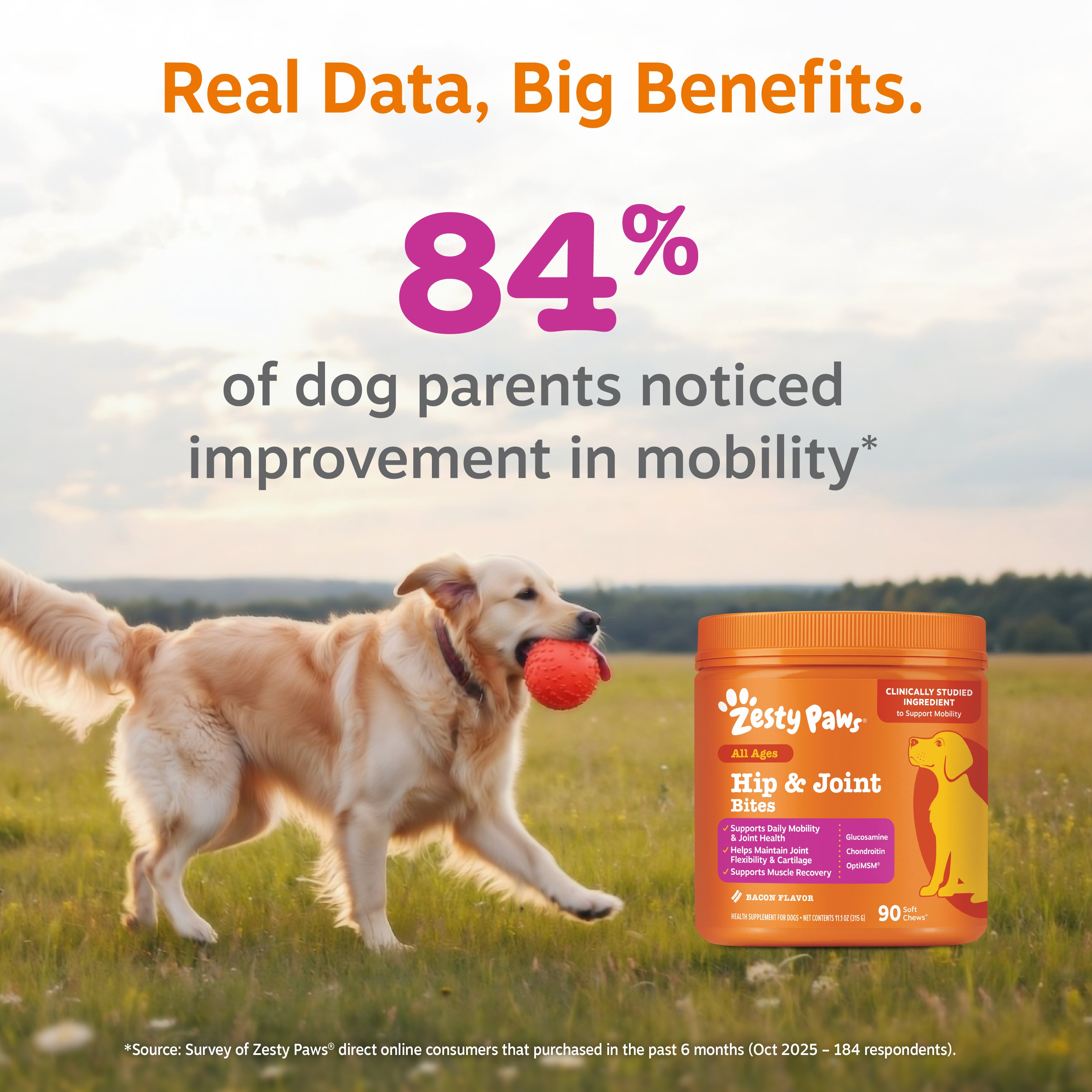 Hip & Joint Bites for Dogs