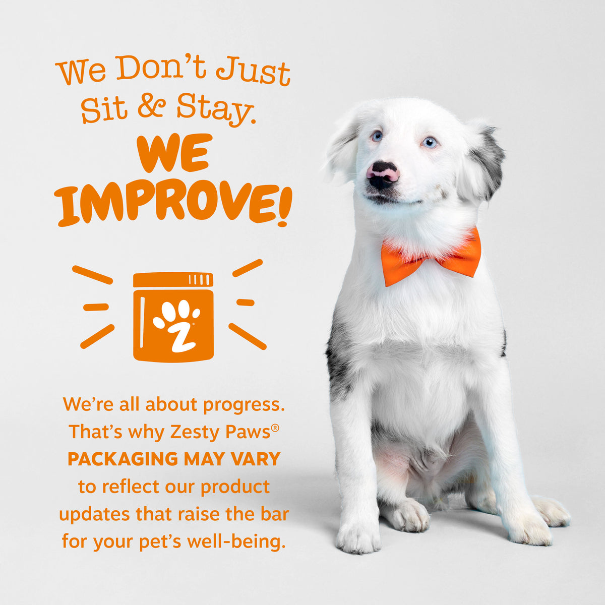 Urinary Tract Bites | UT Support for Dogs | Zesty Paws