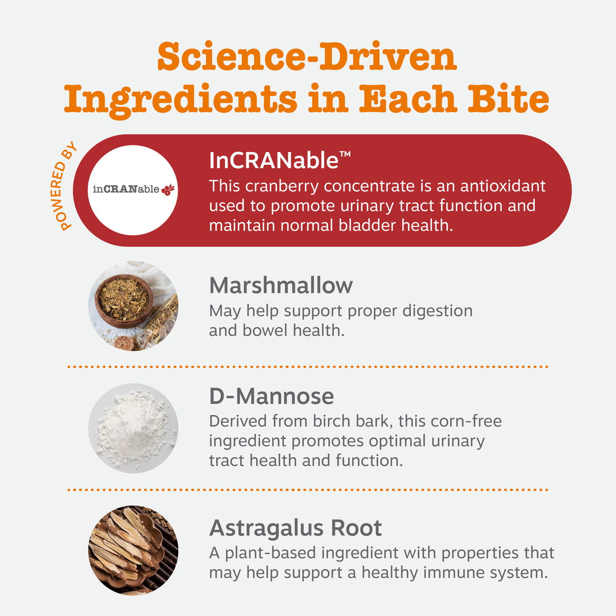 Urinary Tract Bites | UT Support for Dogs | Zesty Paws