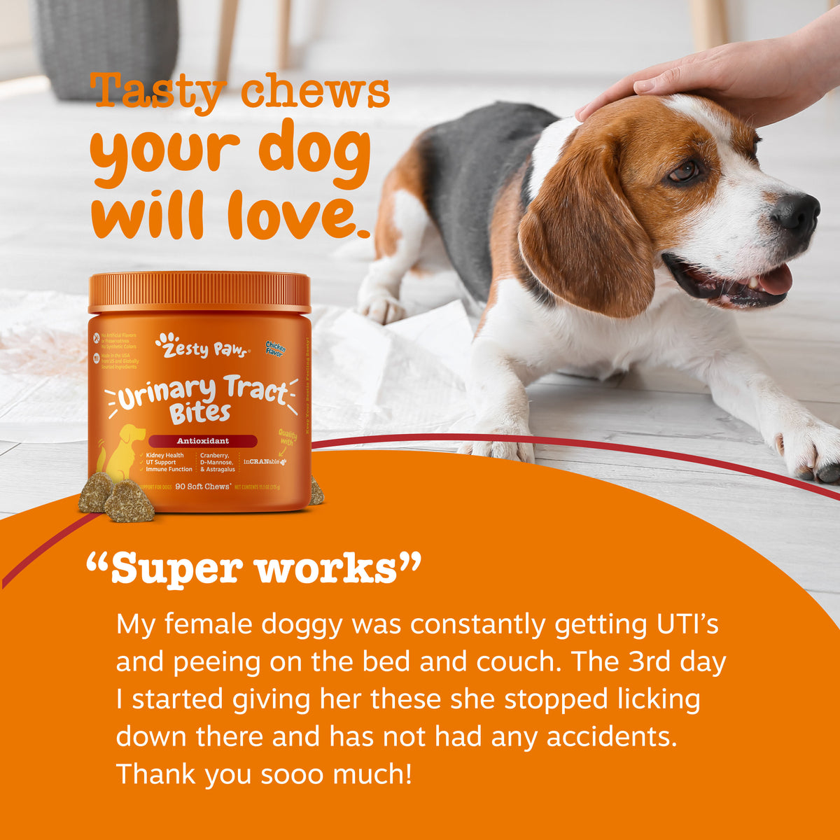 Urinary Tract Bites | UT Support for Dogs | Zesty Paws