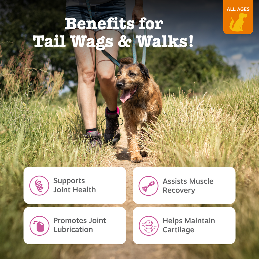 Hip & Joint Mobility Bites for Dogs