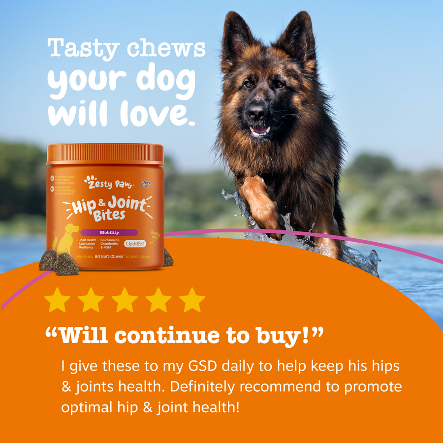 Hip & Joint Mobility Bites for Dogs