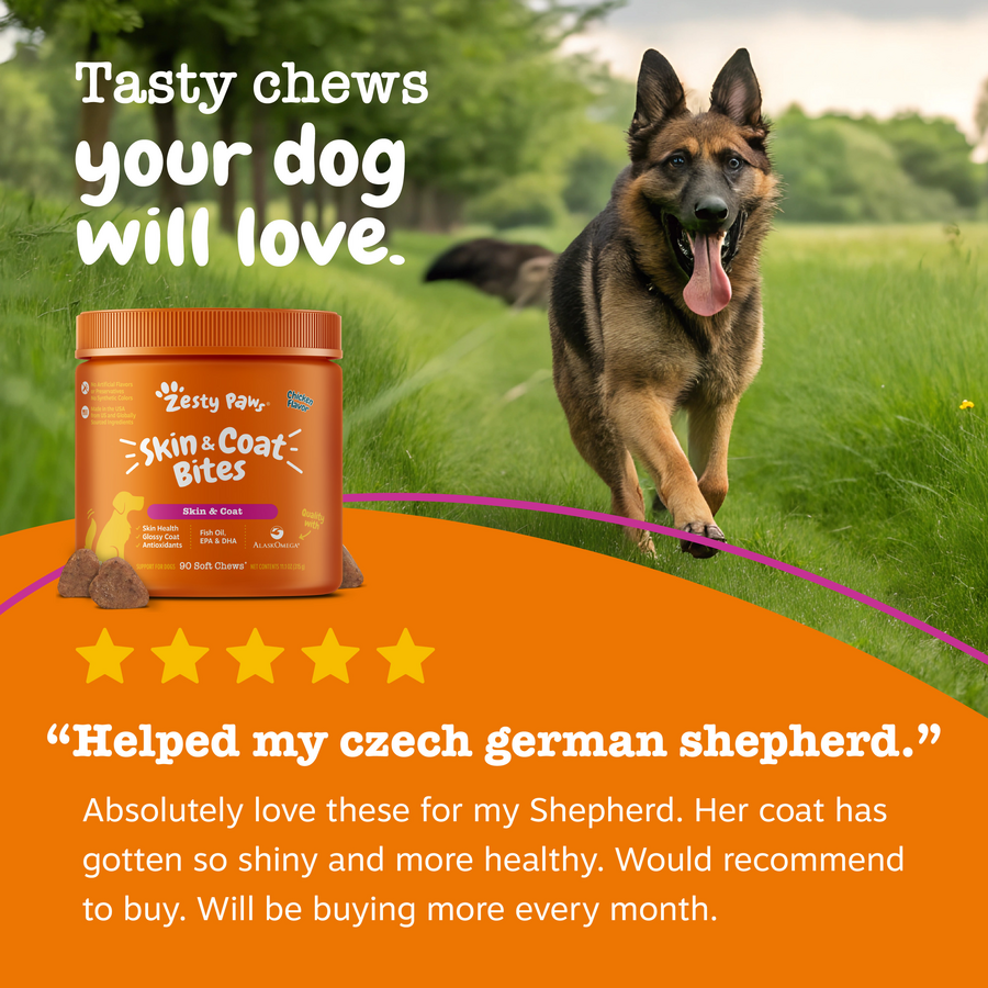 Skin & Coat Bites for Dogs