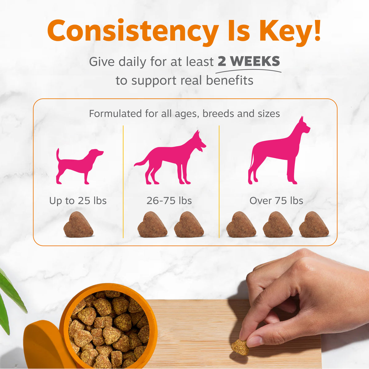 Skin & Coat Bites for Dogs