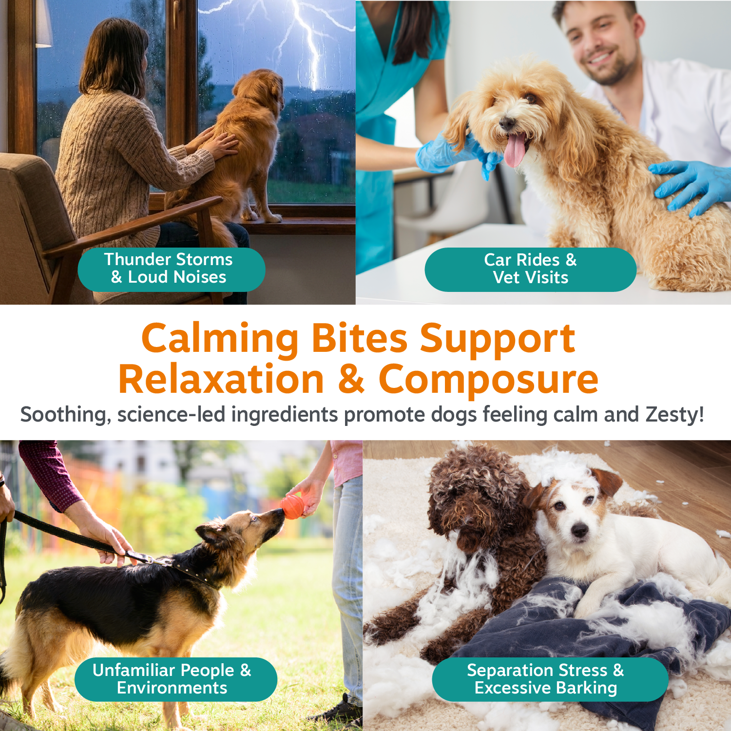 Calming Bites for Dogs