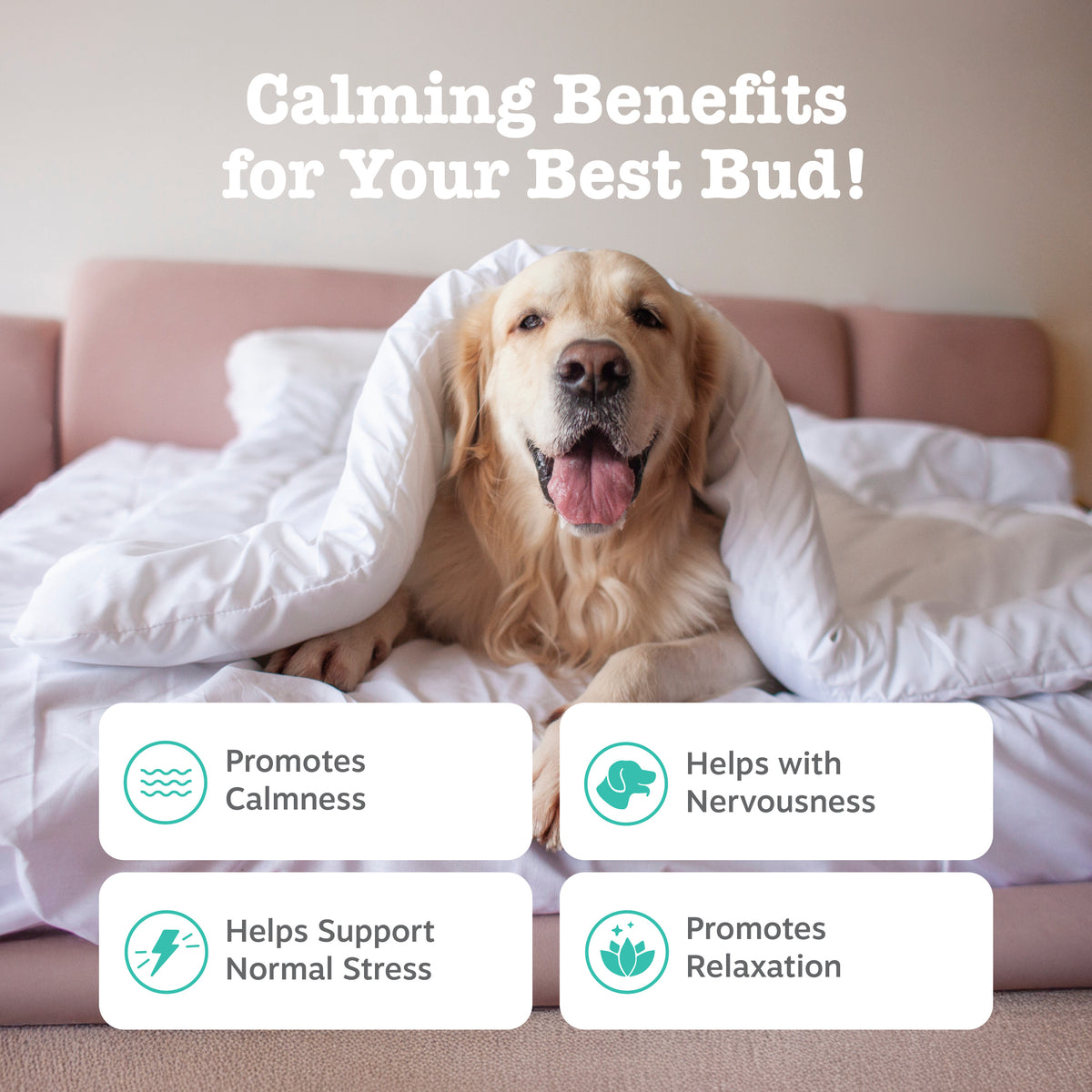 Advanced Calming Bites™ for Dogs
