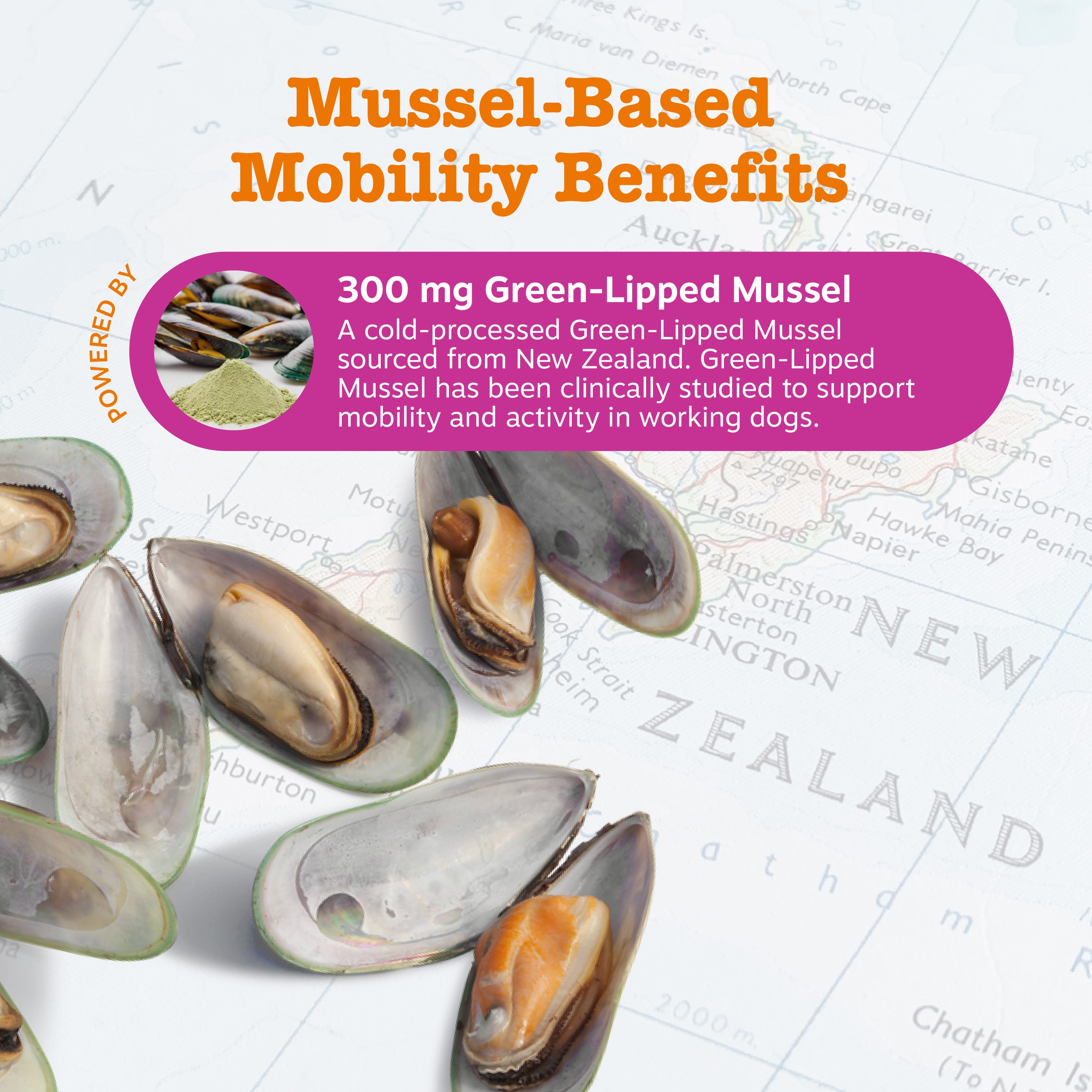 Mussel Hip & Joint Bites™ for Dogs