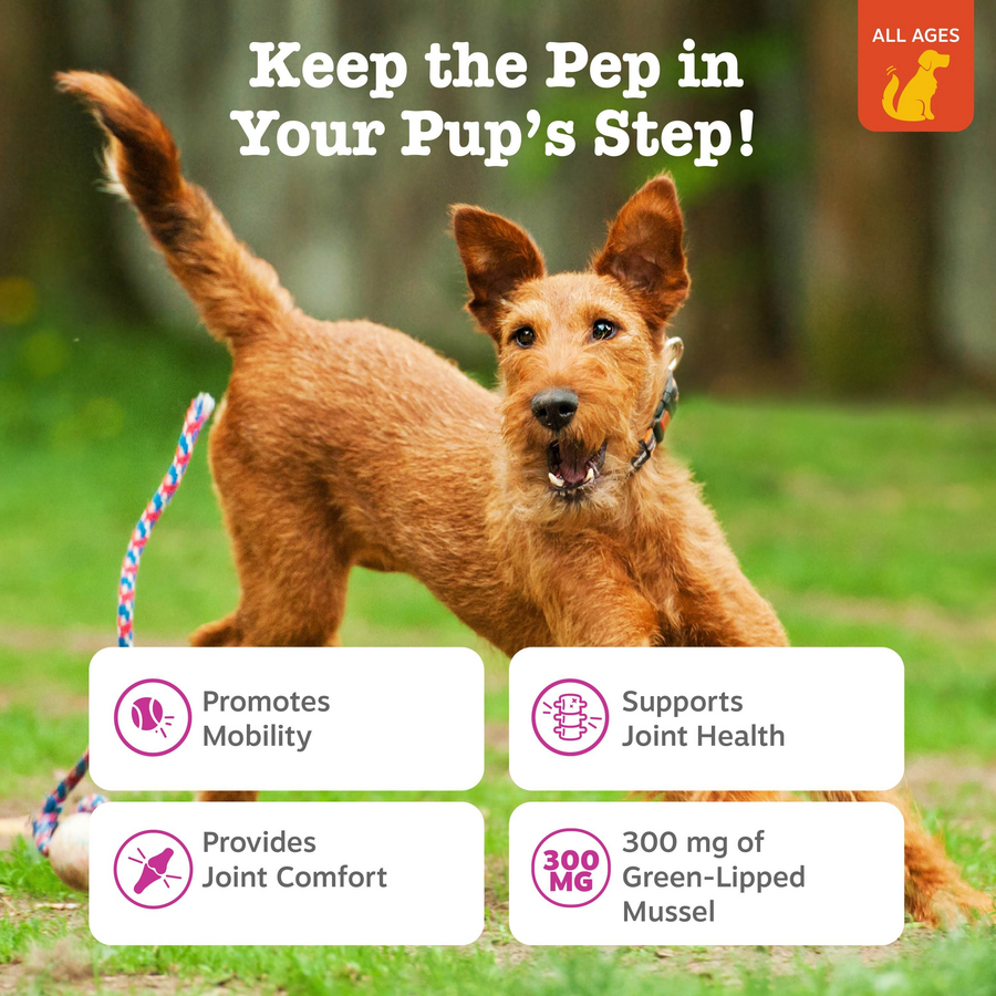 Mussel Hip & Joint Bites™ for Dogs