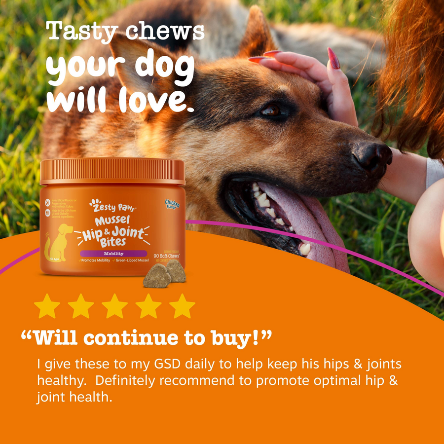 Mussel Hip & Joint Bites™ for Dogs