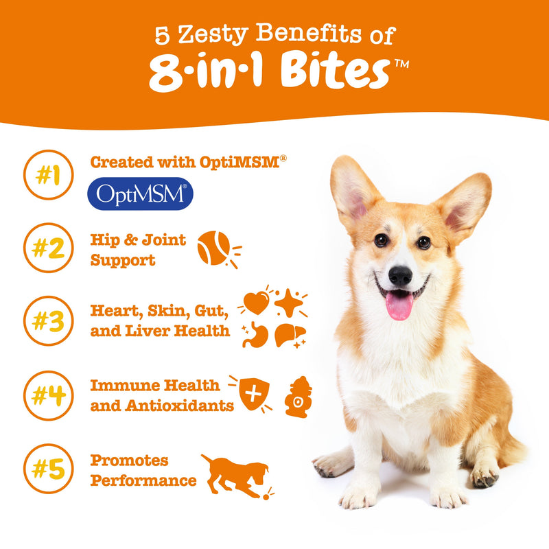 8-in-1 Multifunctional Bites for Dogs Chicken Flavor