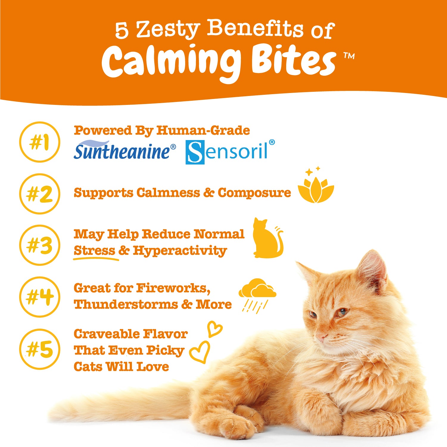 Cat Calming Bites + Wild Alaskan Salmon Oil Formula Bundle