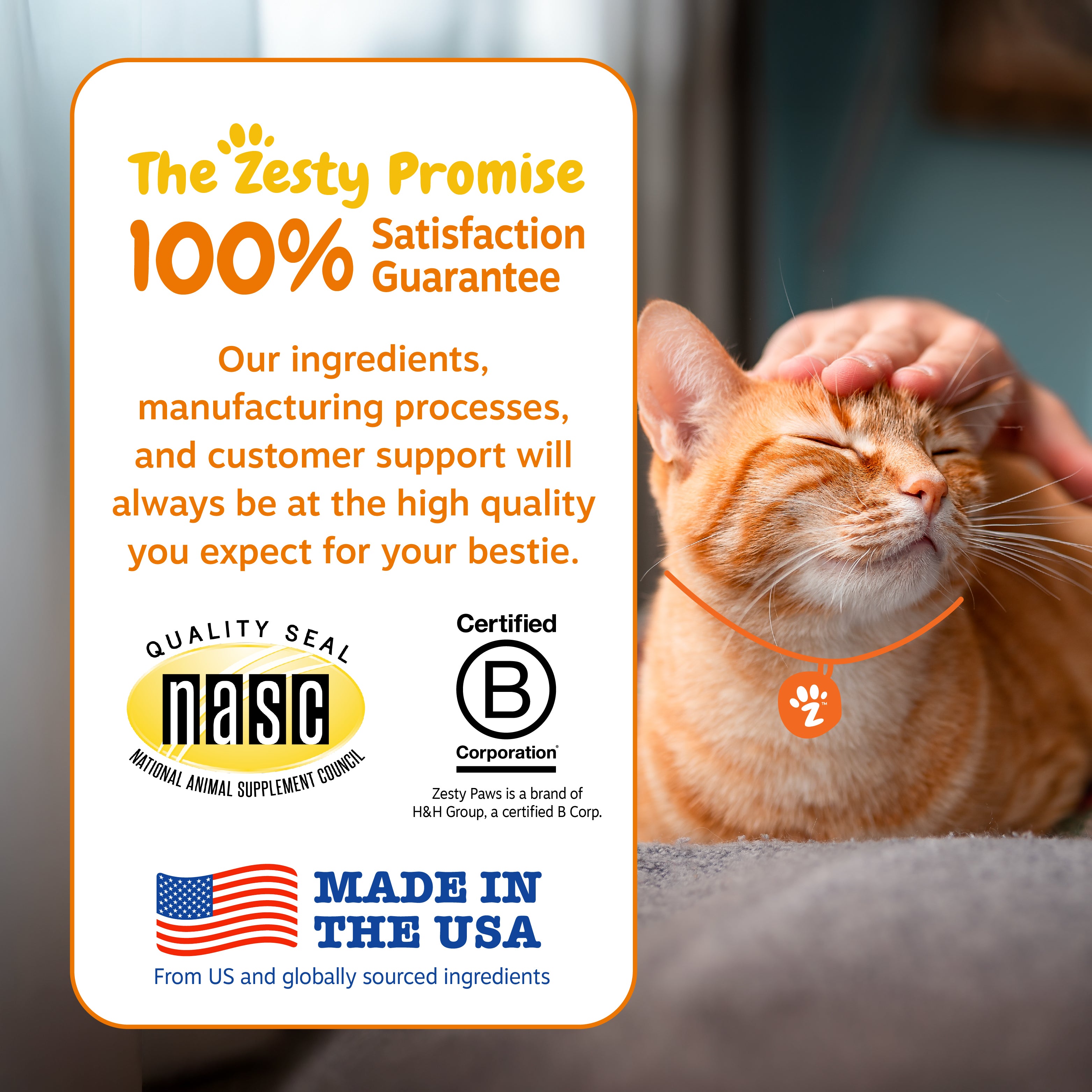 Calming Bites™ for Cats