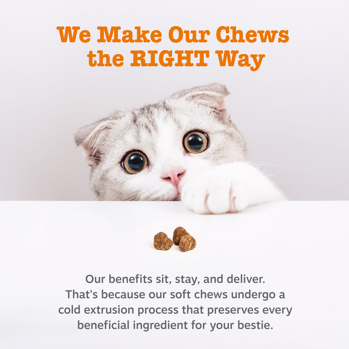 Calming Bites™ for Cats