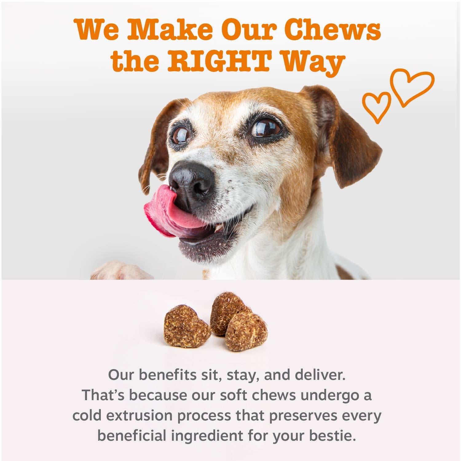 Puppy Probiotic Bites
