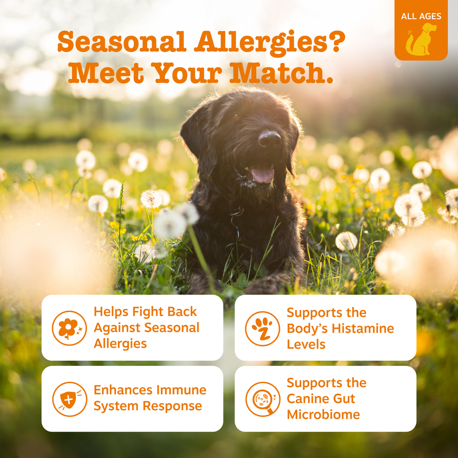Allergy & Immune Bites for Dogs