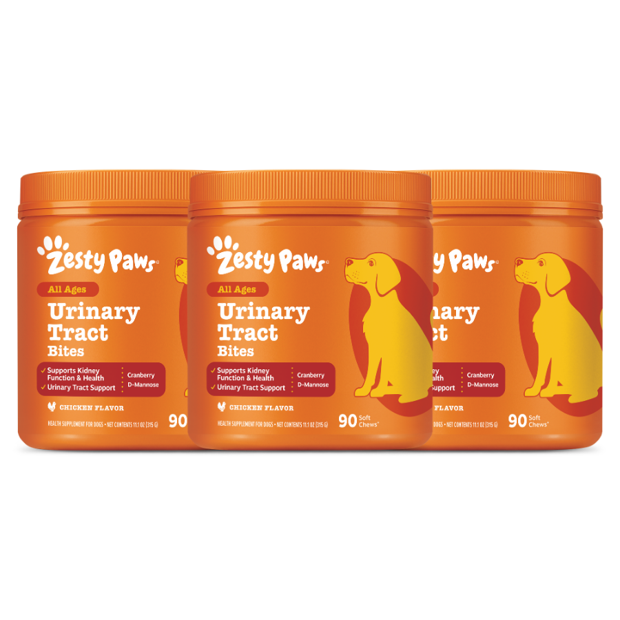 Urinary Tract Bites for Dogs