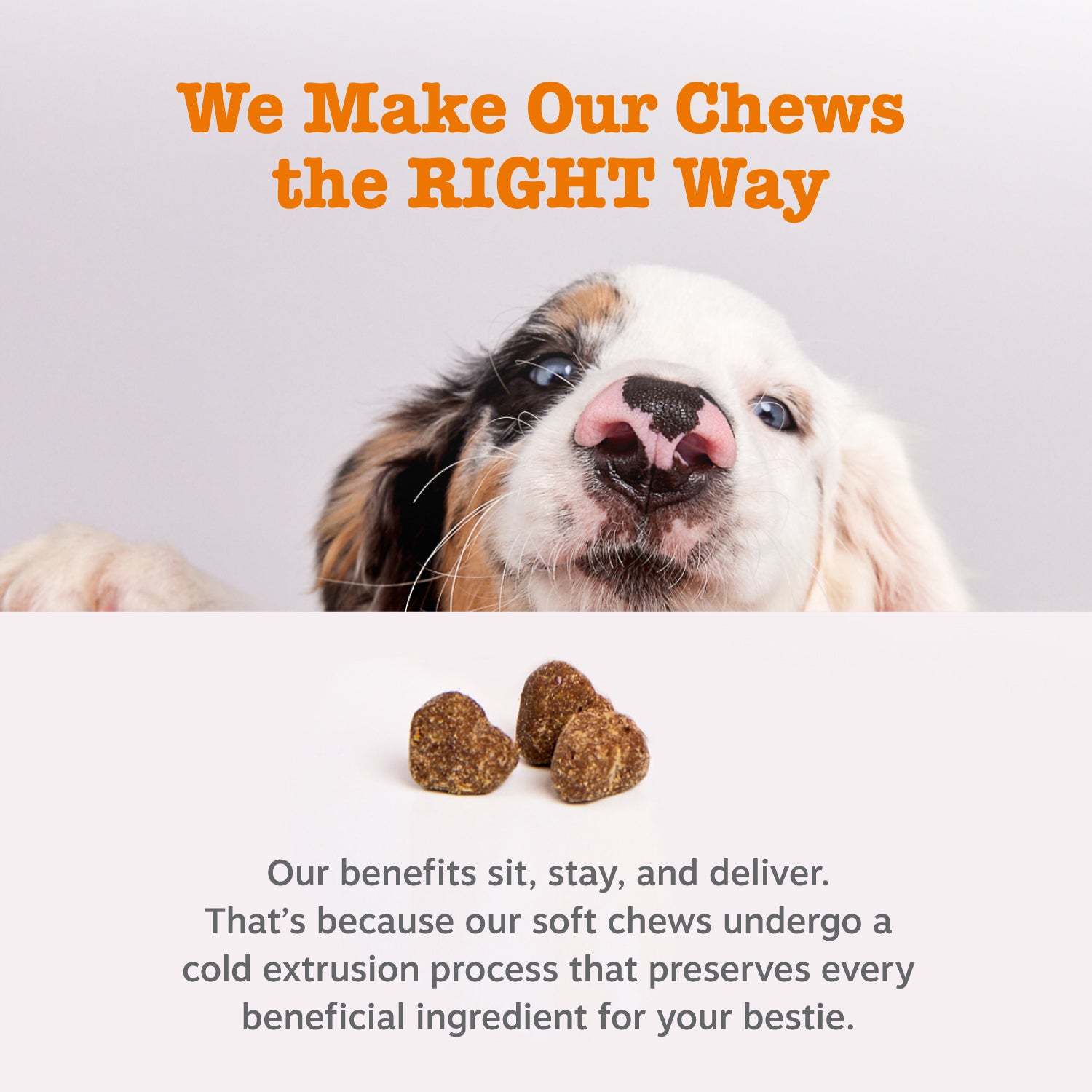 Vet Strength™ Weight Management Bites