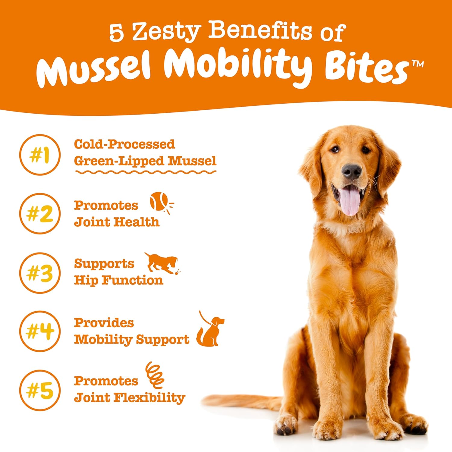 Mussel Mobility Bites™ for Dogs