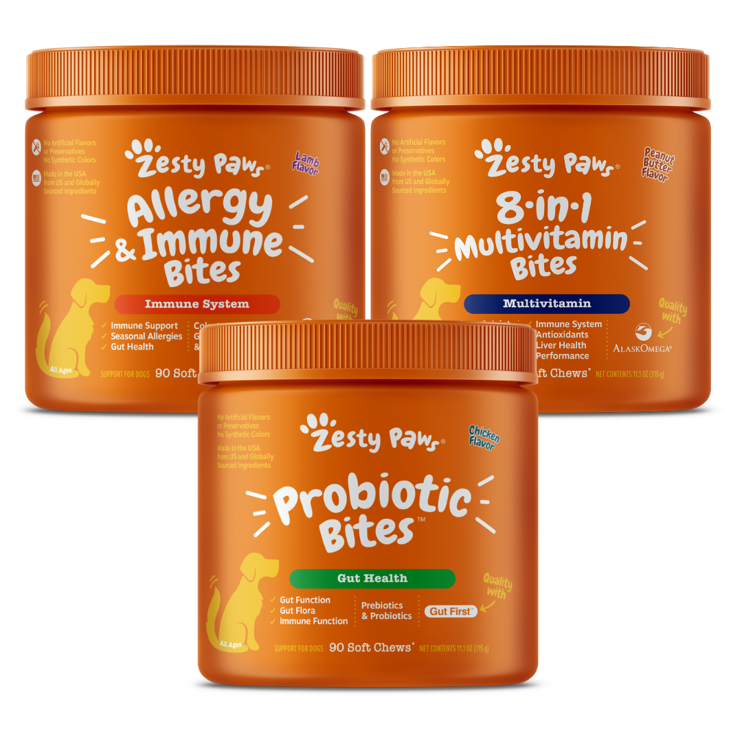 Fido's Favorites Bundle