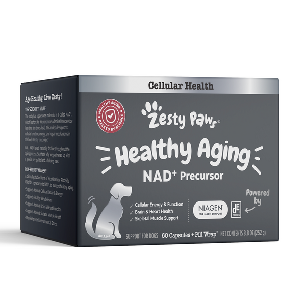 Supplements for hot sale aging dogs