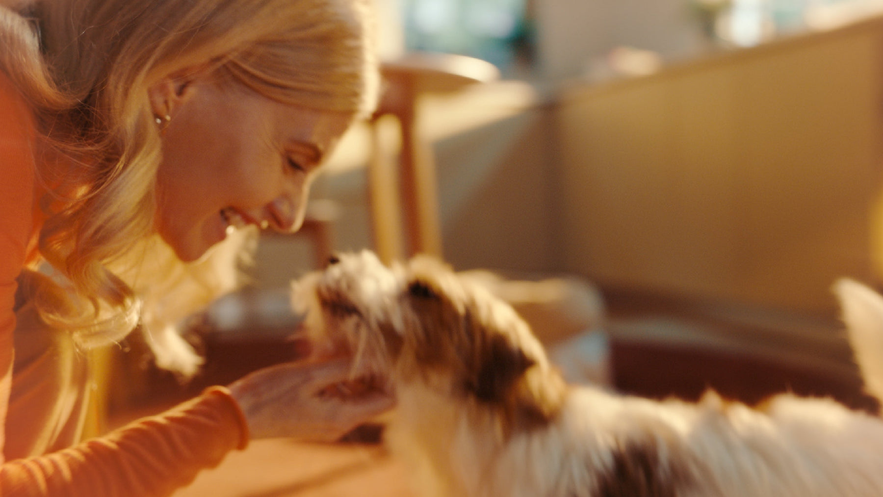 A woman in an orange top smiles and reaches toward a small fluffy dog in a warmly lit indoor setting.