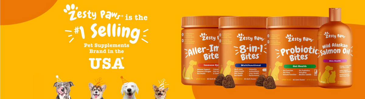 Zesty Paws Dog Supplements Are Only $20 for Prime Day – SheKnows