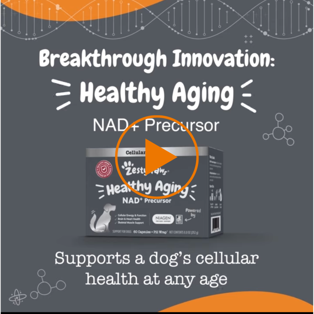 Healthy Aging Niagen Powder for Dogs