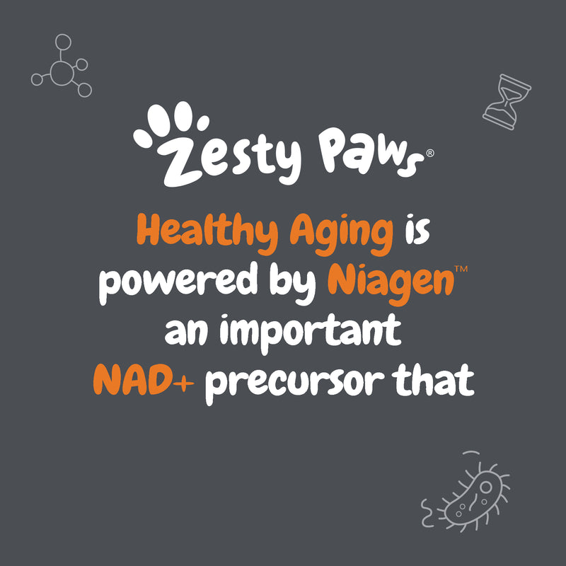 Healthy Aging Niagen Powder for Dogs