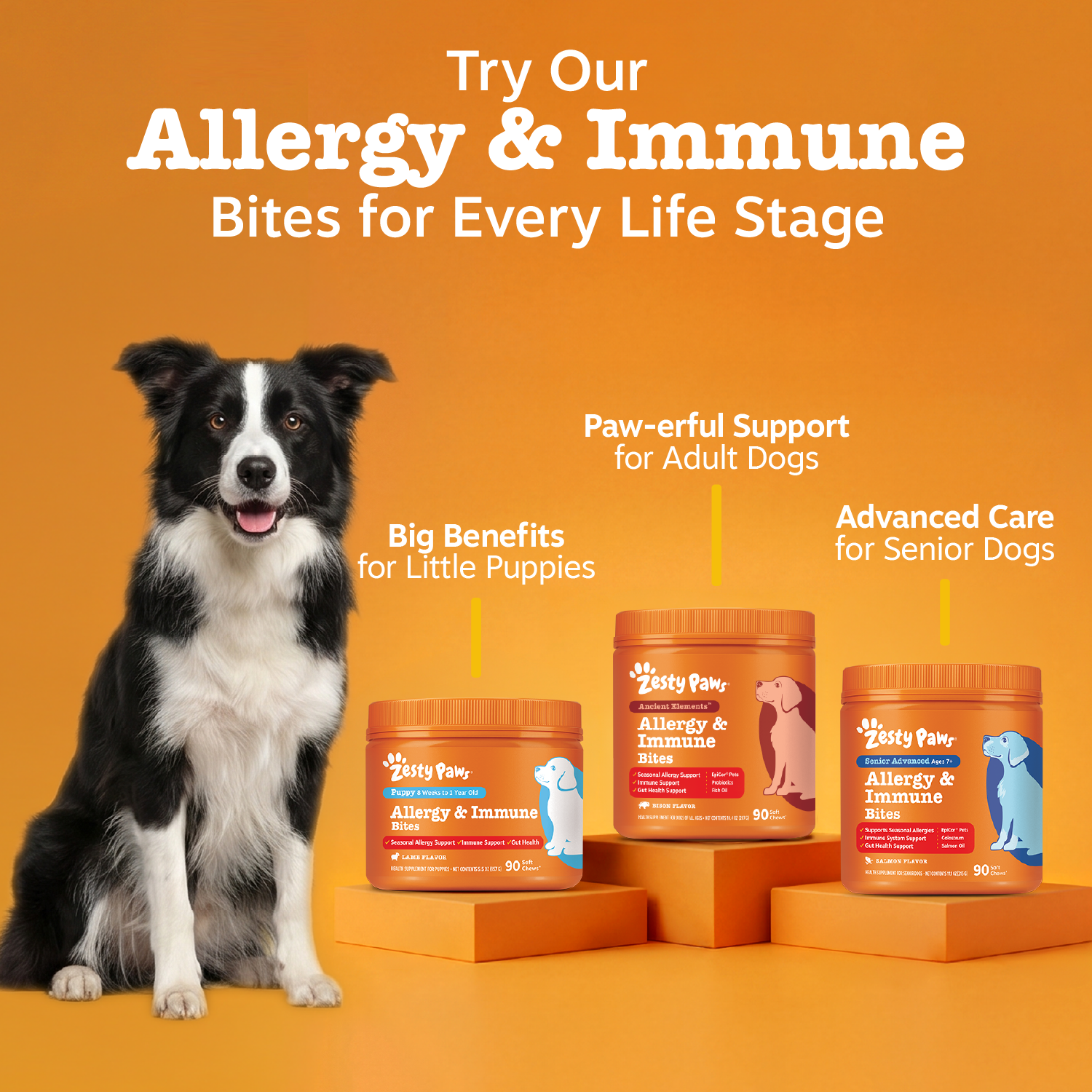 Ancient Elements™ Aller-Immune Bites™ for Dogs